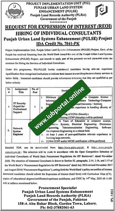 Punjab Land Records Authority (PLRA) Lahore Jobs 2025 – Apply Online for Network System Engineer