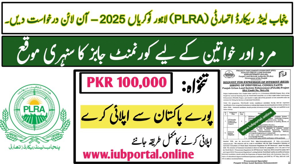 Punjab Land Records Authority (PLRA) Lahore Jobs 2025 – Apply Online for Network System Engineer