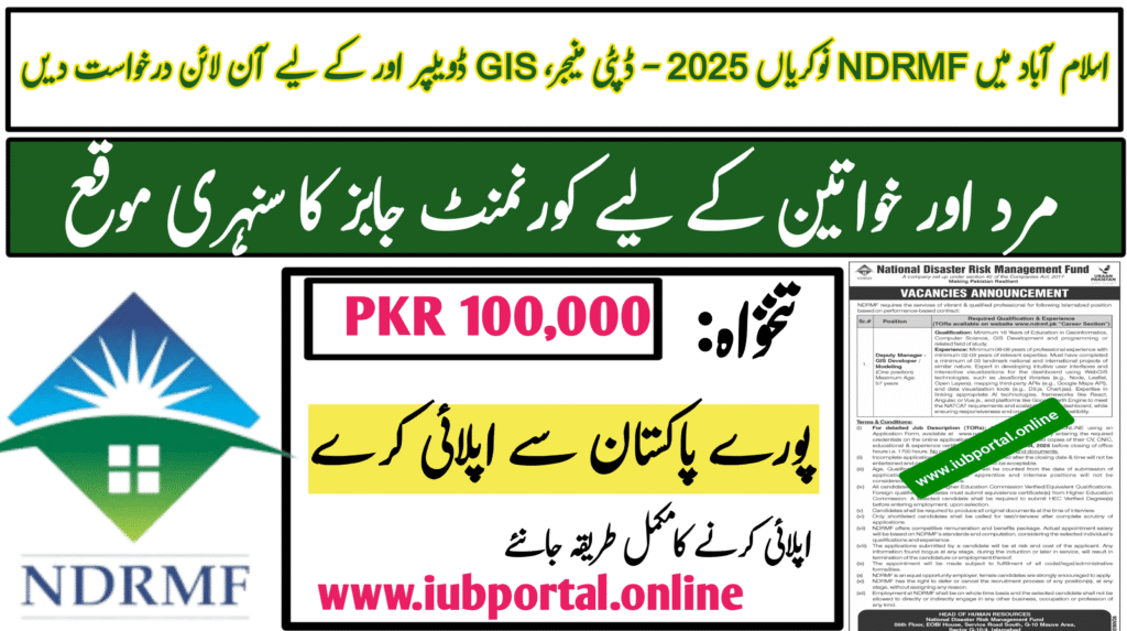 NDRMF Jobs 2025 in Islamabad – Apply Online for Deputy Manager, GIS Developer & Management Positions