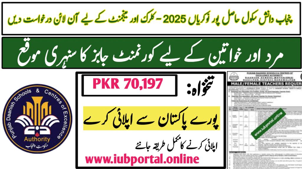 Punjab Daanish Schools Hasilpur Jobs 2025 – Apply Online for Clerk & Management Posts