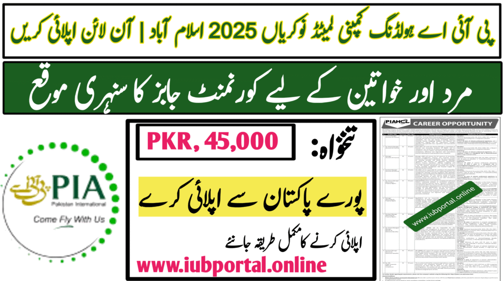 PIA Holding Company Limited Jobs 2025 Islamabad | Apply Online Assistant Manager Vacancies